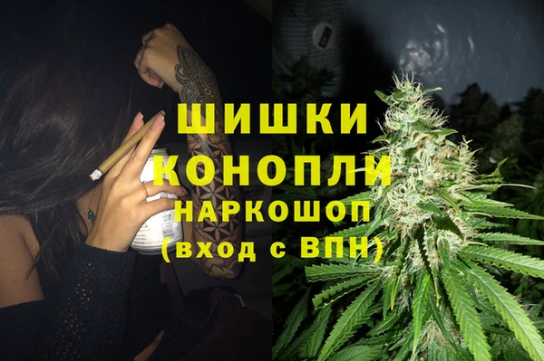 стаф Арсеньев