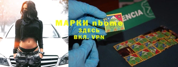 стаф Арсеньев