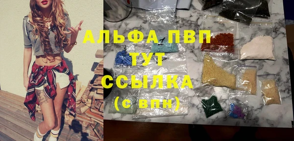 стаф Арсеньев