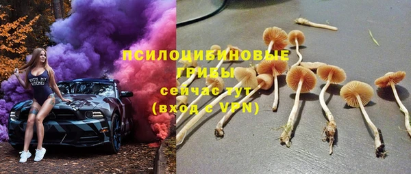 амф Аркадак
