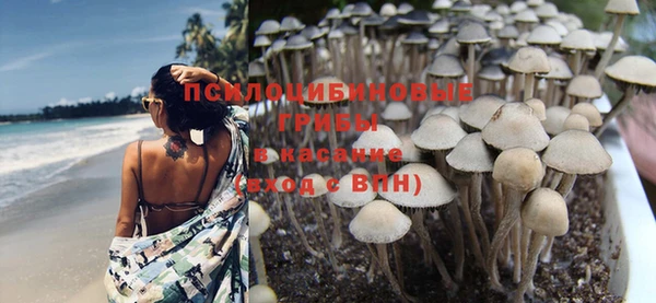 амф Аркадак