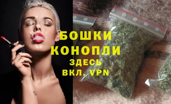 стаф Арсеньев